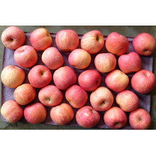 Crisp Fresh Delicious Red Star Apple